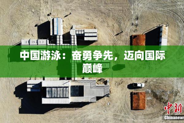 中国游泳：奋勇争先，迈向国际巅峰