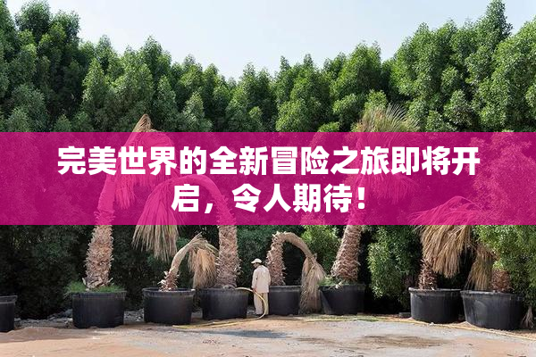 完美世界的全新冒险之旅即将开启，令人期待！