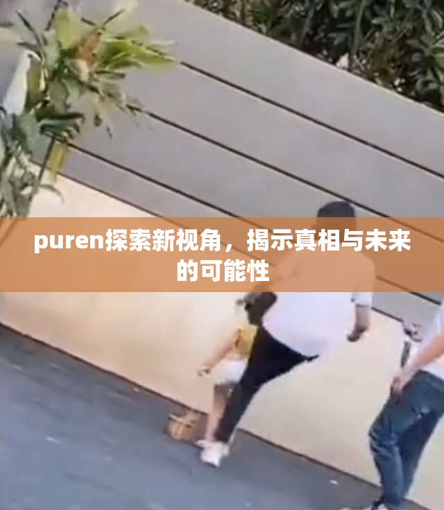 puren探索新视角，揭示真相与未来的可能性