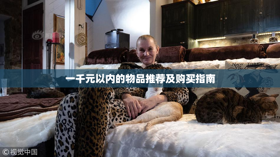 一千元以内的物品推荐及购买指南