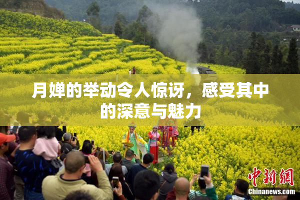 月婵的举动令人惊讶，感受其中的深意与魅力