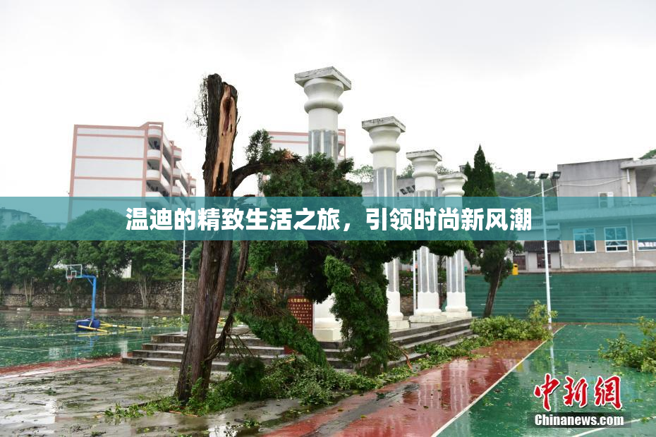 温迪的精致生活之旅，引领时尚新风潮