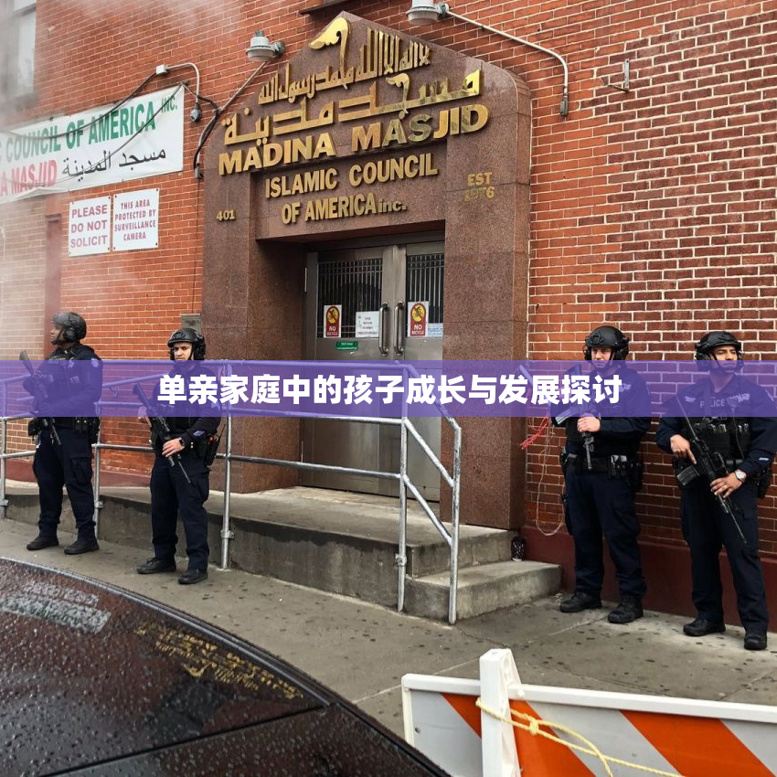 单亲家庭中的孩子成长与发展探讨