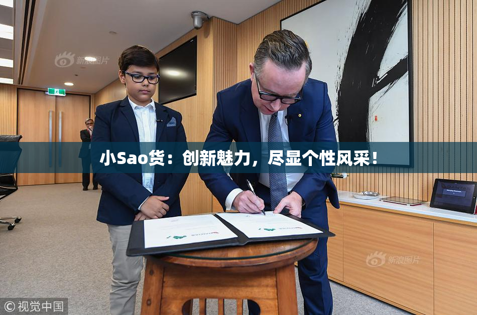 小Sao货：创新魅力，尽显个性风采！