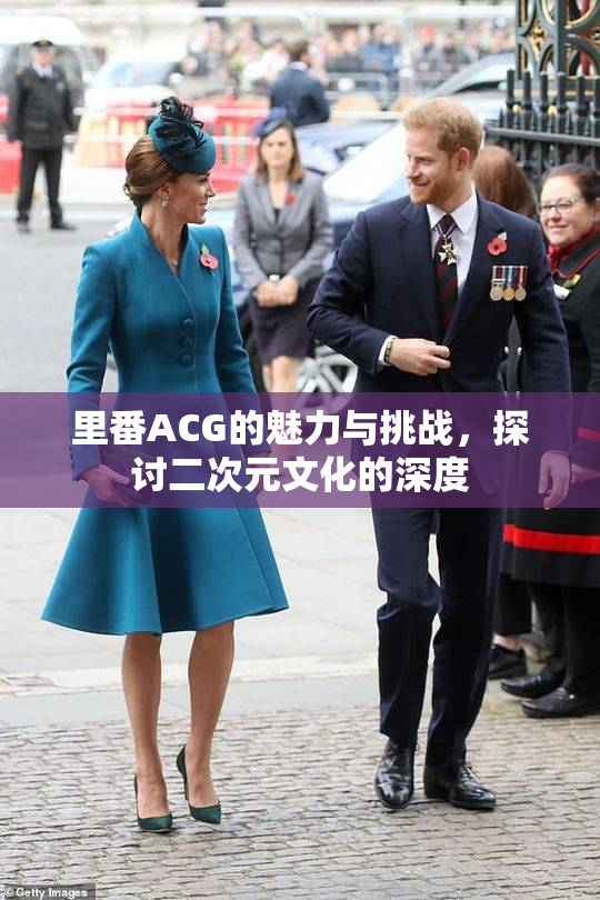 里番ACG的魅力与挑战，探讨二次元文化的深度