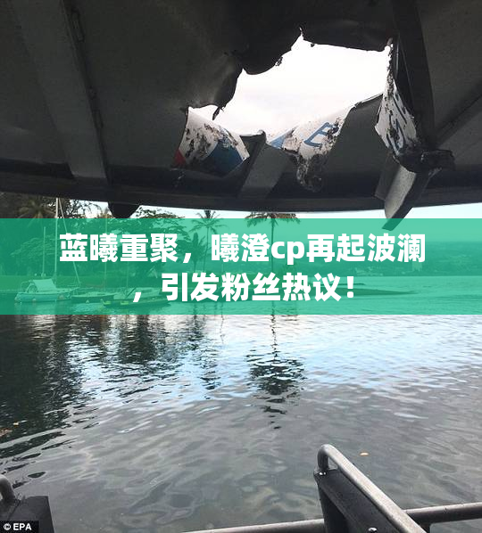蓝曦重聚，曦澄cp再起波澜，引发粉丝热议！