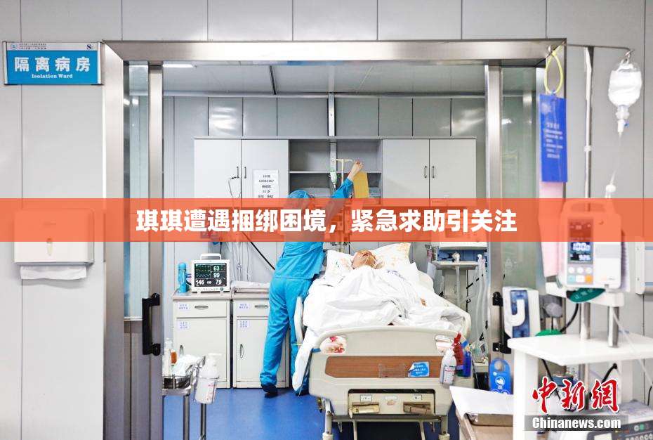 琪琪遭遇捆绑困境，紧急求助引关注