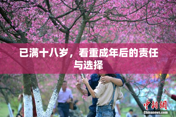 已满十八岁，看重成年后的责任与选择