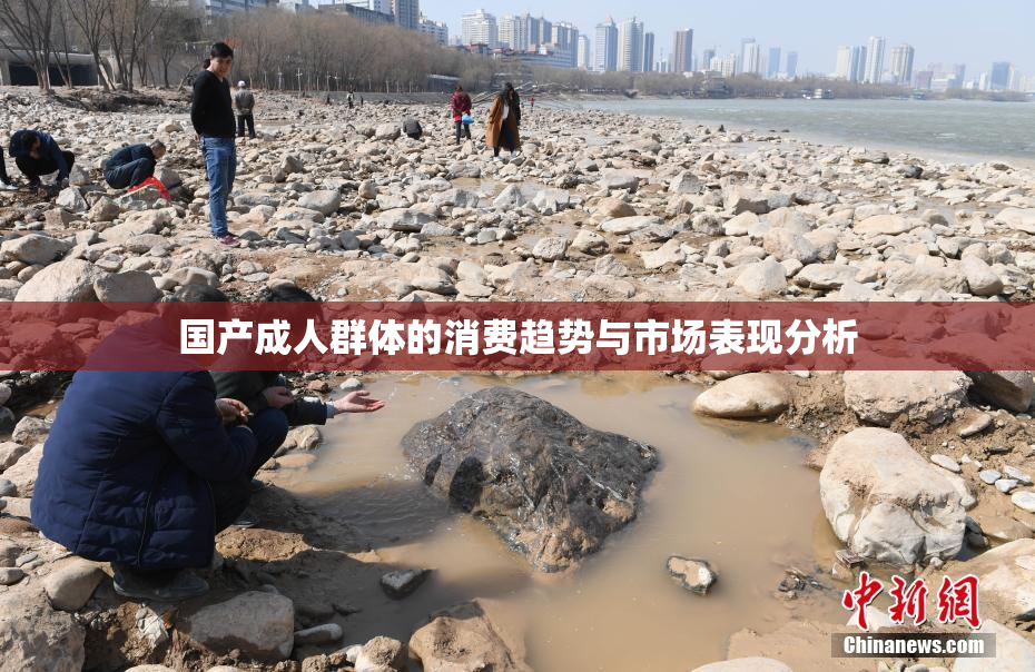 国产成人群体的消费趋势与市场表现分析