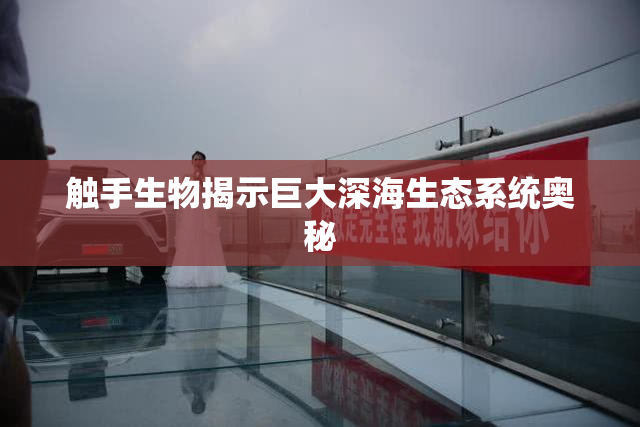 触手生物揭示巨大深海生态系统奥秘