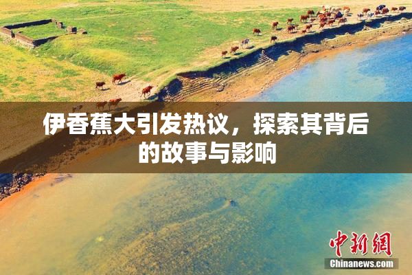 伊香蕉大引发热议，探索其背后的故事与影响