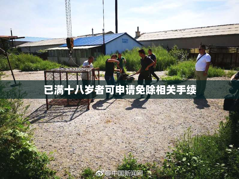 已满十八岁者可申请免除相关手续