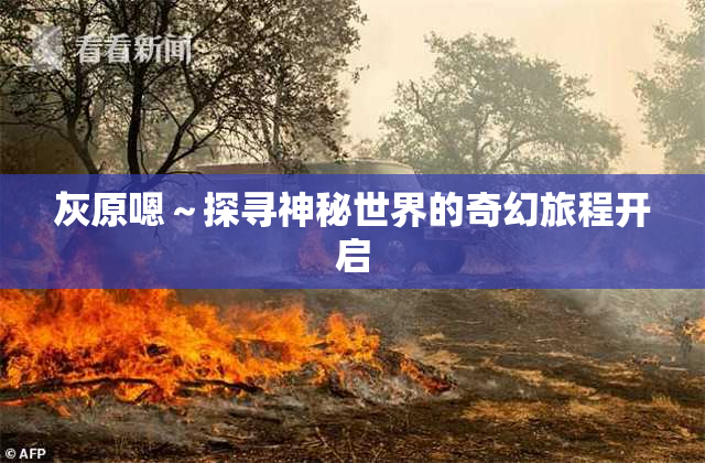 灰原嗯～探寻神秘世界的奇幻旅程开启