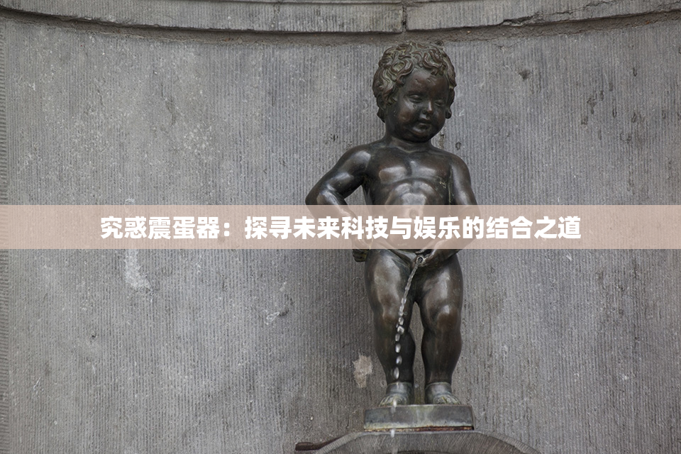 究惑震蛋器：探寻未来科技与娱乐的结合之道