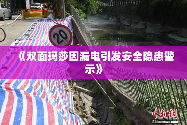 《双面玛莎因漏电引发安全隐患警示》