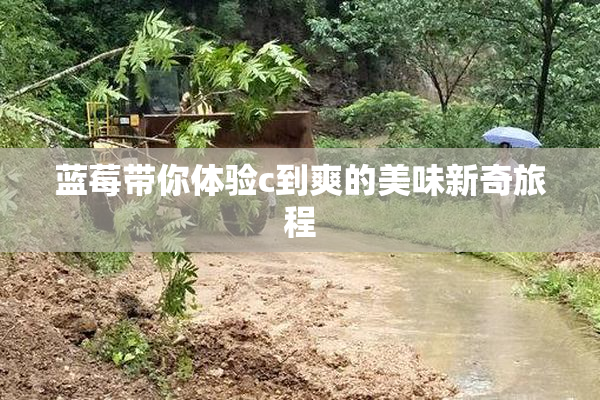 蓝莓带你体验c到爽的美味新奇旅程