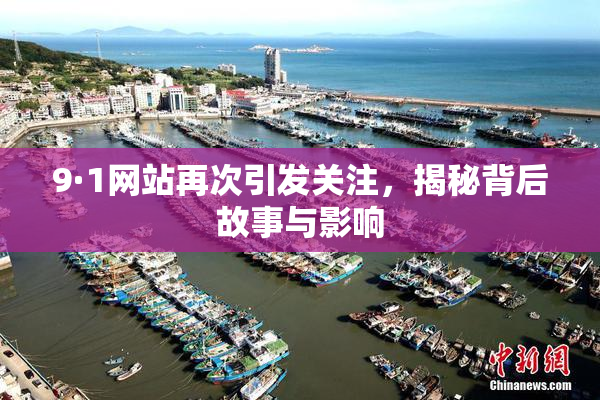 9·1网站再次引发关注，揭秘背后故事与影响