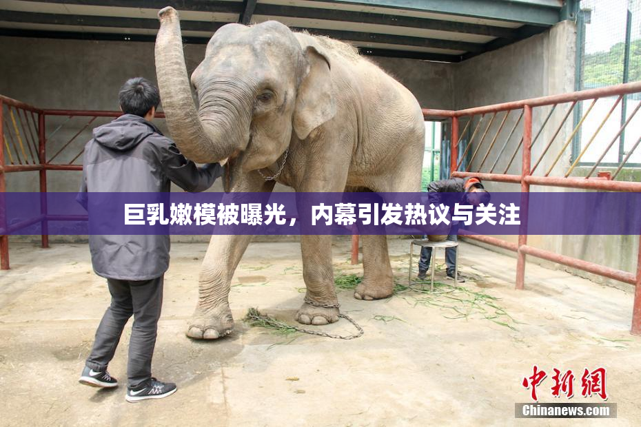 巨乳嫩模被曝光，内幕引发热议与关注