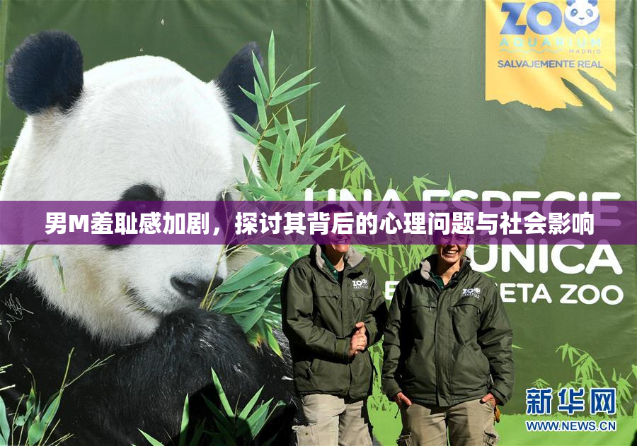 男M羞耻感加剧，探讨其背后的心理问题与社会影响