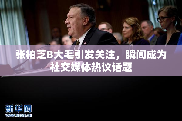 张柏芝B大毛引发关注，瞬间成为社交媒体热议话题