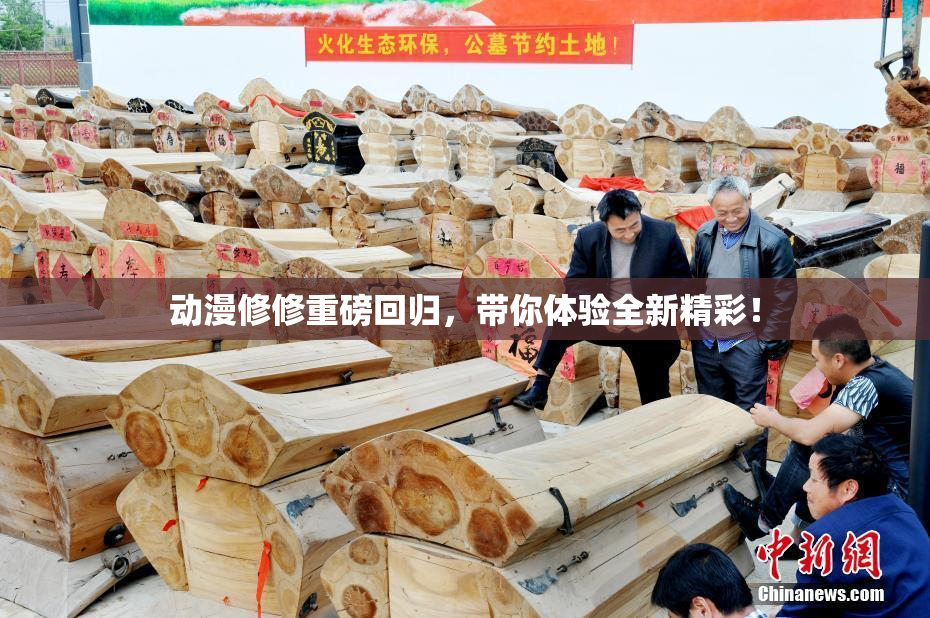动漫修修重磅回归，带你体验全新精彩！