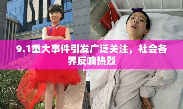 9.1重大事件引发广泛关注，社会各界反响热烈