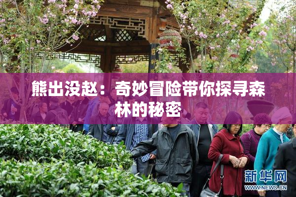 熊出没赵：奇妙冒险带你探寻森林的秘密