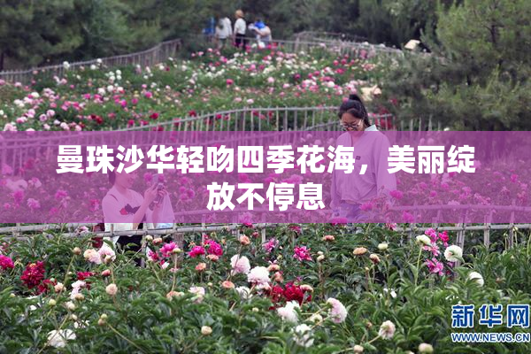 曼珠沙华轻吻四季花海，美丽绽放不停息