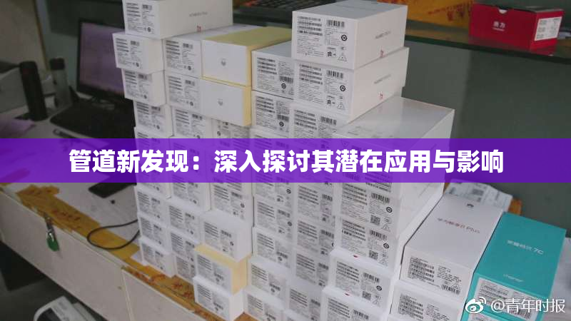 管道新发现：深入探讨其潜在应用与影响