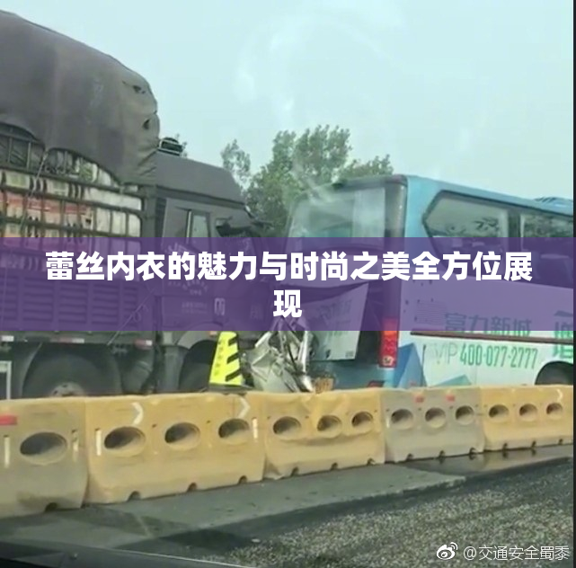 蕾丝内衣的魅力与时尚之美全方位展现