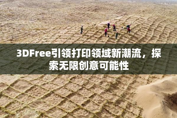 3DFree引领打印领域新潮流，探索无限创意可能性