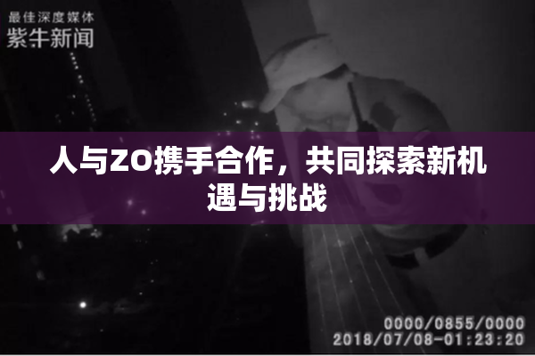 人与ZO携手合作，共同探索新机遇与挑战