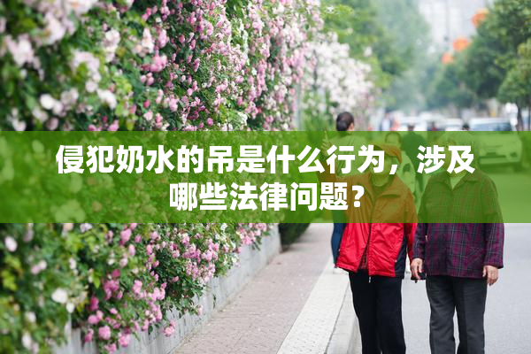 侵犯奶水的吊是什么行为，涉及哪些法律问题？
