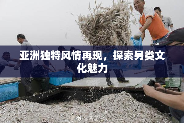 亚洲独特风情再现，探索另类文化魅力
