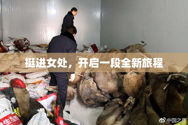 挺进女处，开启一段全新旅程