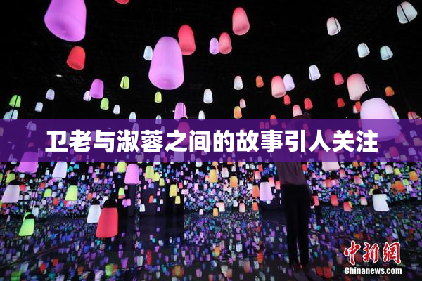 卫老与淑蓉之间的故事引人关注
