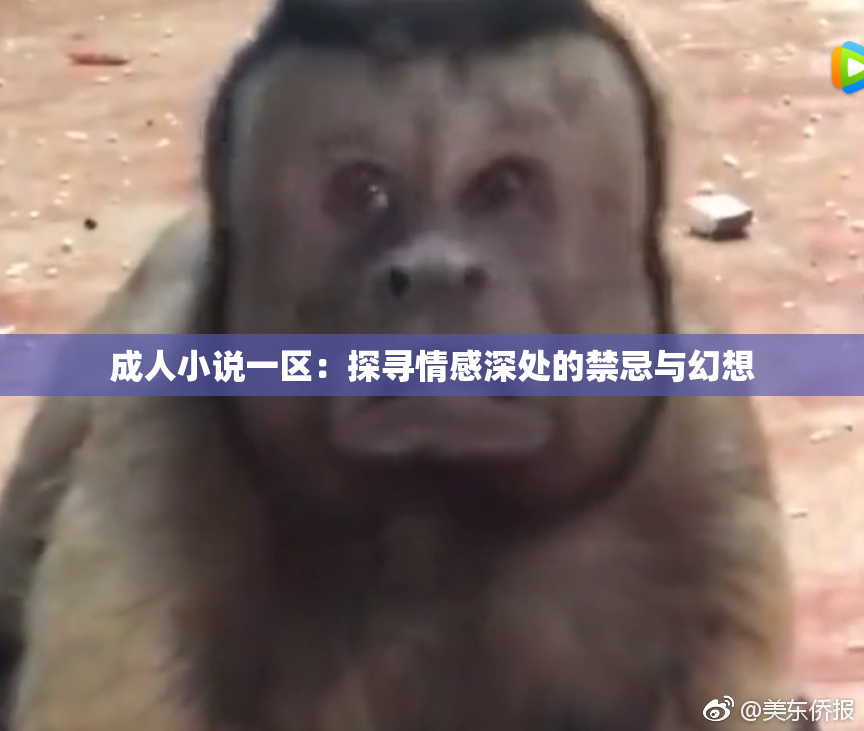 成人小说一区：探寻情感深处的禁忌与幻想