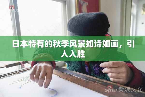 日本特有的秋季风景如诗如画，引人入胜