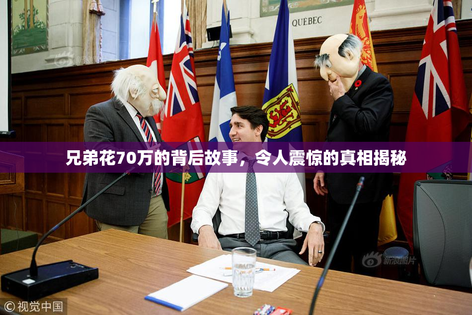 兄弟花70万的背后故事，令人震惊的真相揭秘