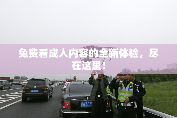 免费看成人内容的全新体验，尽在这里！