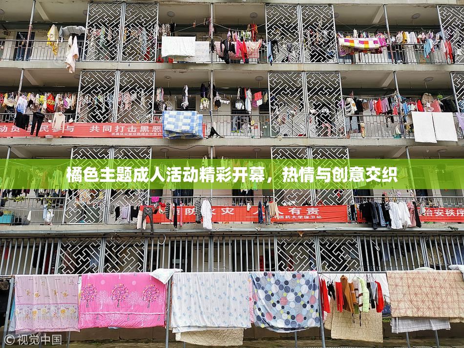 橘色主题成人活动精彩开幕，热情与创意交织