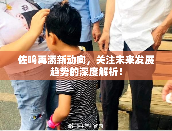 佐鸣再添新动向，关注未来发展趋势的深度解析！