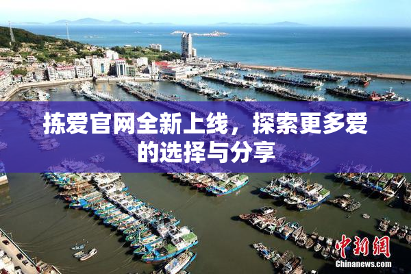 拣爱官网全新上线，探索更多爱的选择与分享