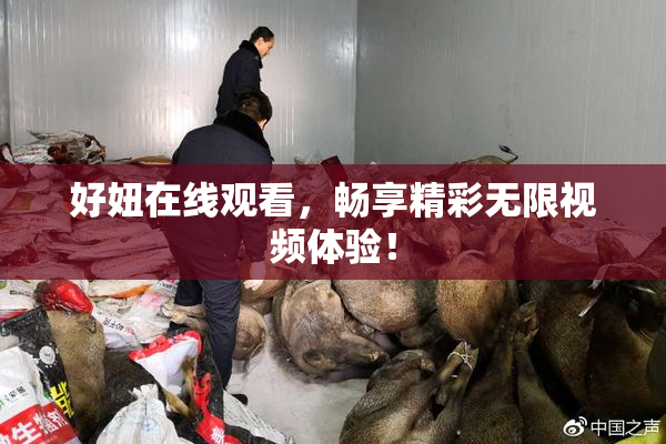 好妞在线观看，畅享精彩无限视频体验！