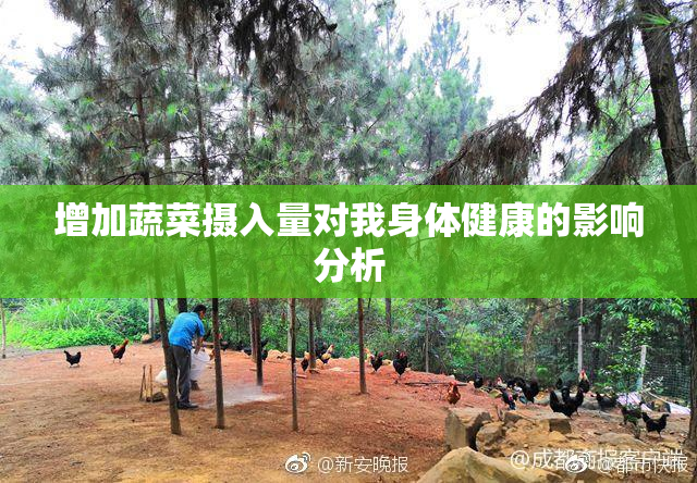 增加蔬菜摄入量对我身体健康的影响分析