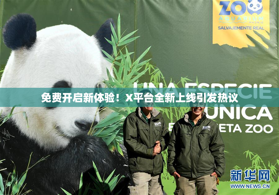 免费开启新体验！X平台全新上线引发热议