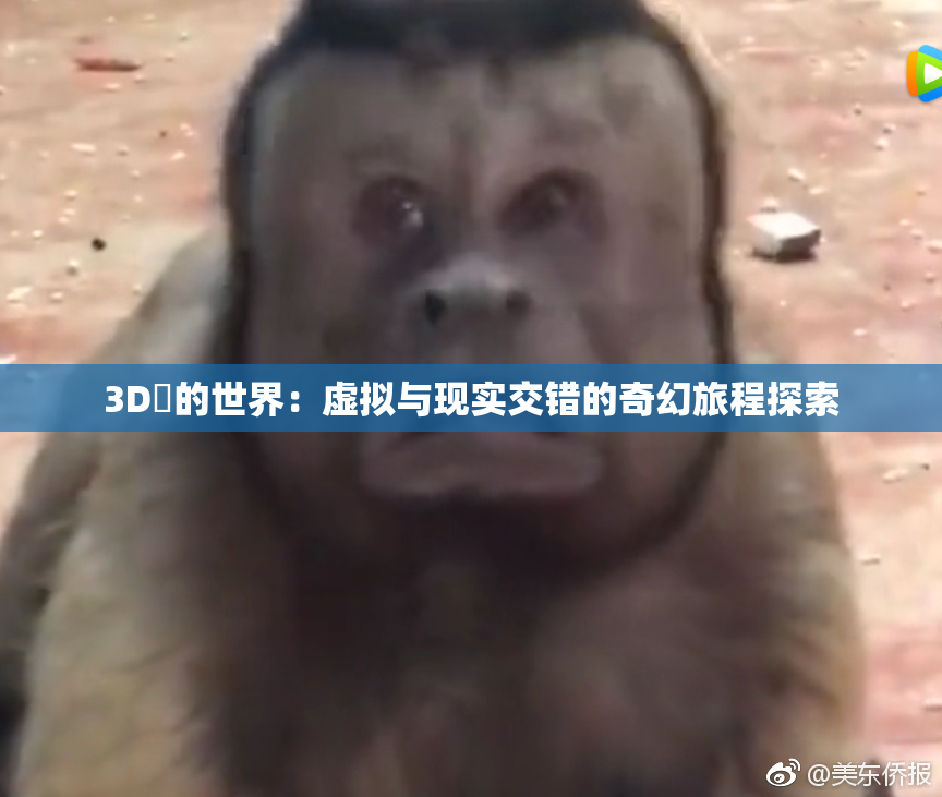 3D姉的世界：虚拟与现实交错的奇幻旅程探索