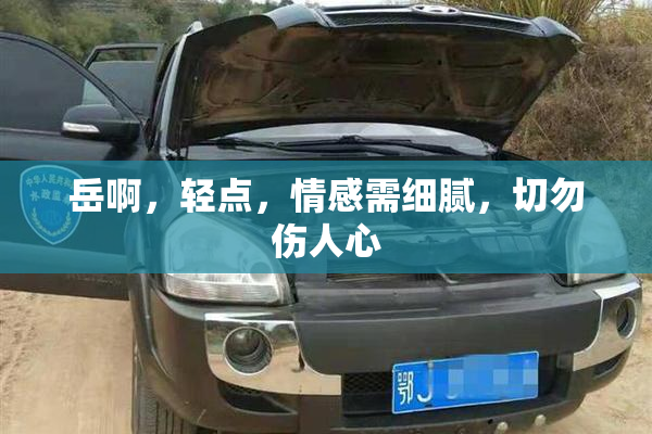 岳啊，轻点，情感需细腻，切勿伤人心