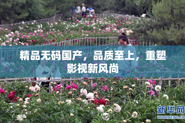 精品无码国产，品质至上，重塑影视新风尚