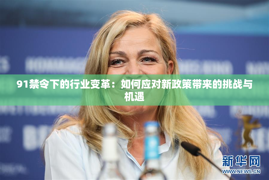 91禁令下的行业变革：如何应对新政策带来的挑战与机遇